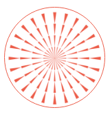 Icon primary